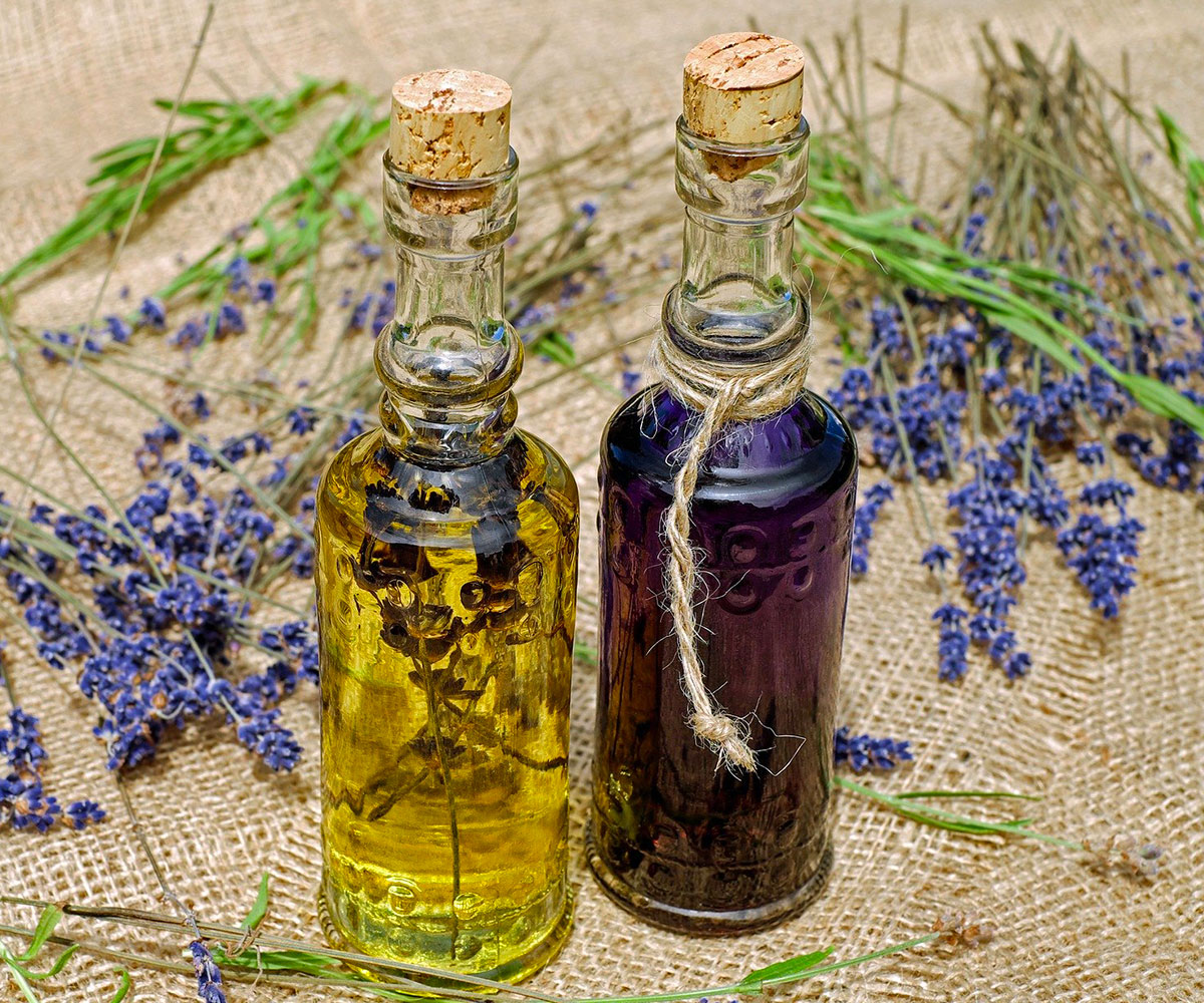Formation Naturopathie : Fonctionnement Corps Humain